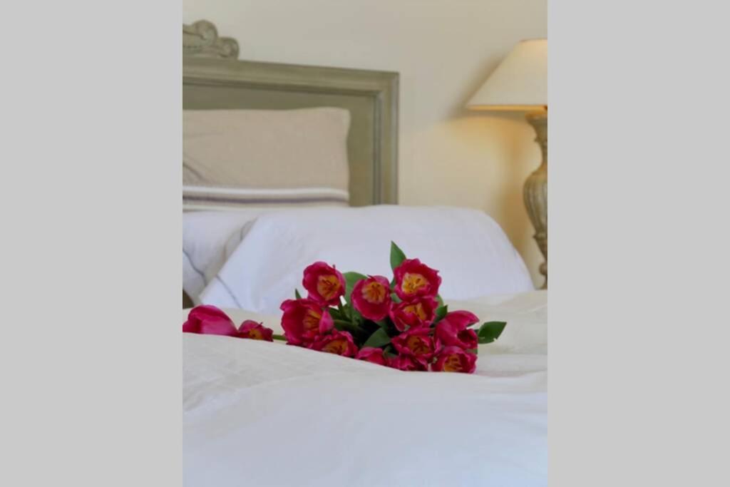 Bord De Mer - Ac, Wifi, Chic, Sea View, Beach 2 Minutes Walk Antibes Buitenkant foto